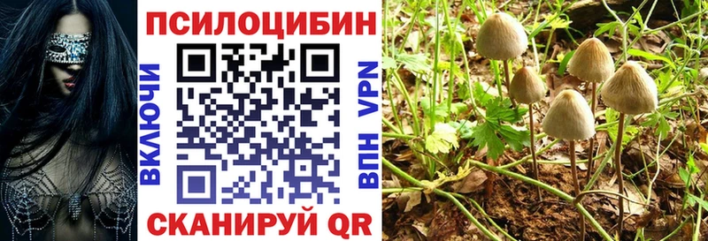 как найти закладки  Томмот  Галлюциногенные грибы прущие грибы 
